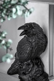 Corvus Bookends